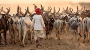 indien-land
