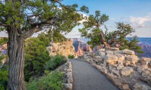Bright Angel Point Trail - Grand Canyon National Park