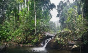 Khao Lak-Lam Ru Nationalpark