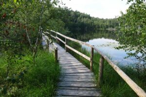 Müritz-Nationalpark