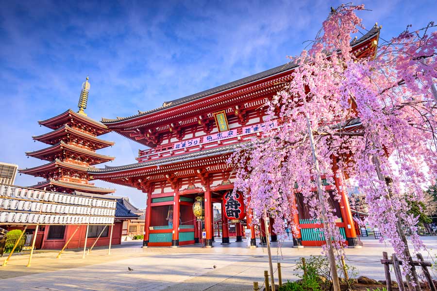 Sensoji-Tempel--in-Asakusa