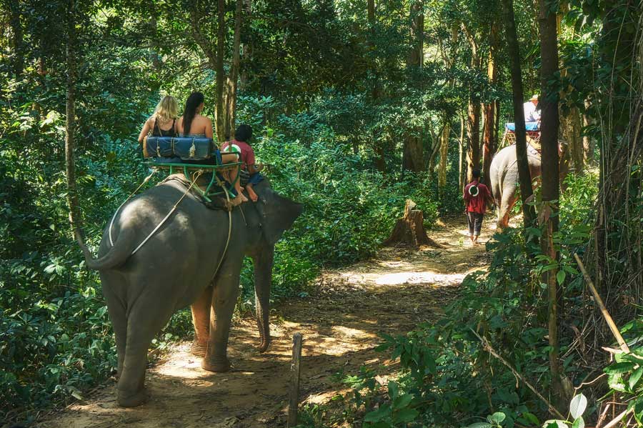 elefantentrekking-khao-lak