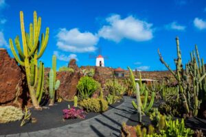 lanzarote-kaktusgarten