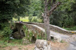 Camino Frances ab Sarria