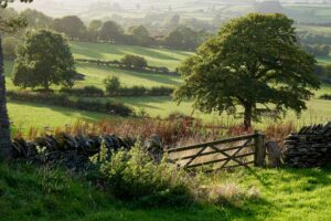 Wye-Valley