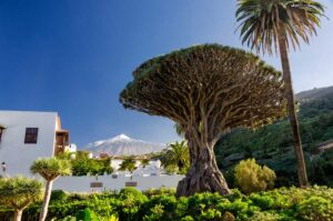 teneriffa-urlaub