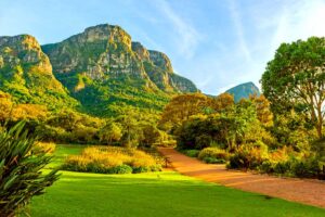 Kirstenbosch
