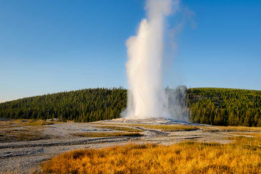  Old Faithful Geysir