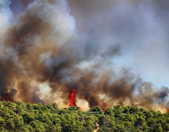 waldbrand-im-urlaub