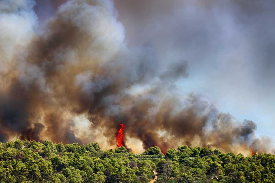 waldbrand-im-urlaub