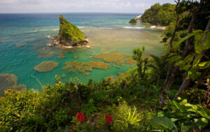 Dominica-natur
