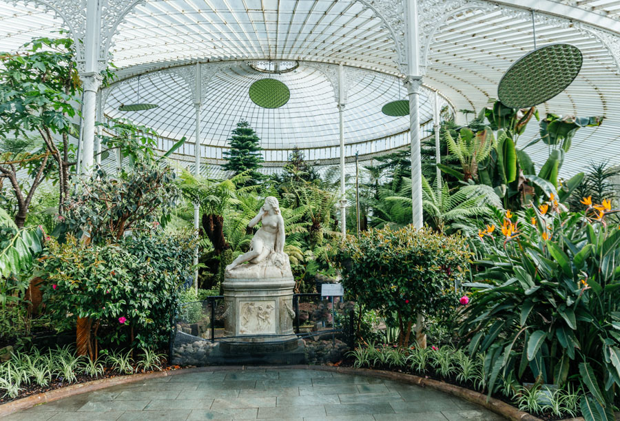 Glasgow Botanic Gardens