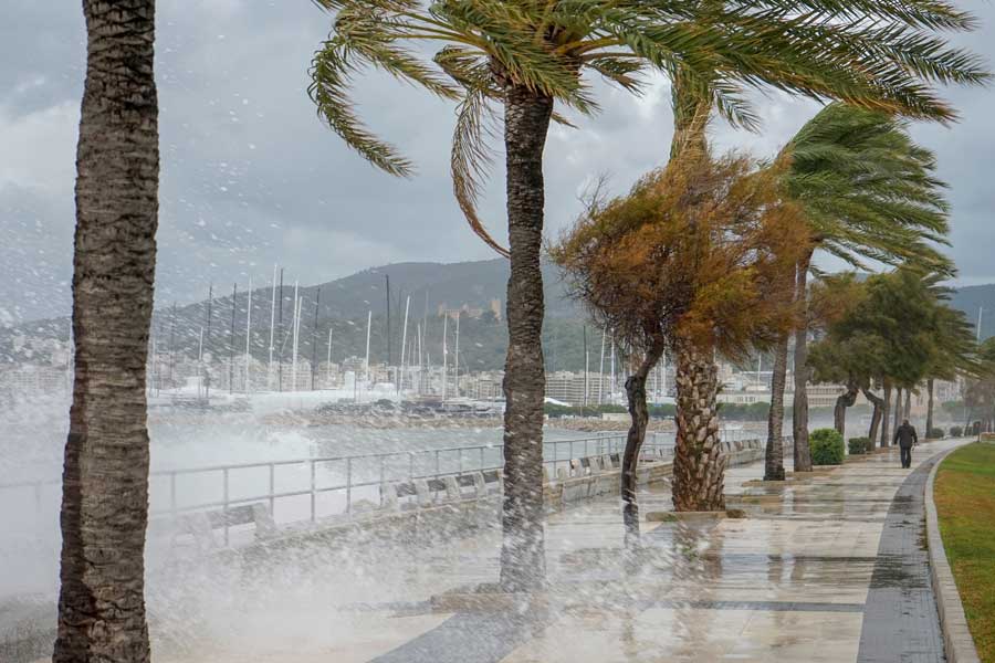 sturm-auf-mallorca