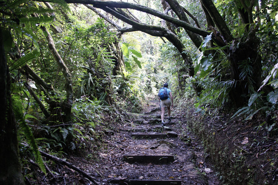 wandern-auf-Guadeloupe