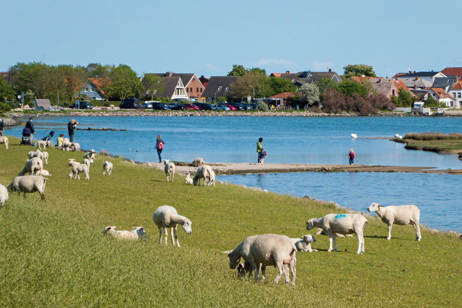 bauernhof-ostsee