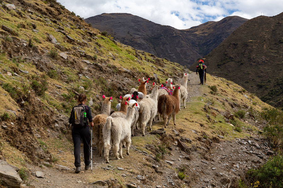 lares-trek