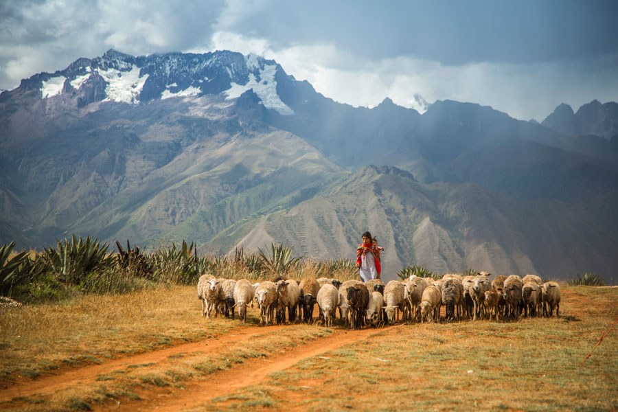 wandern peru