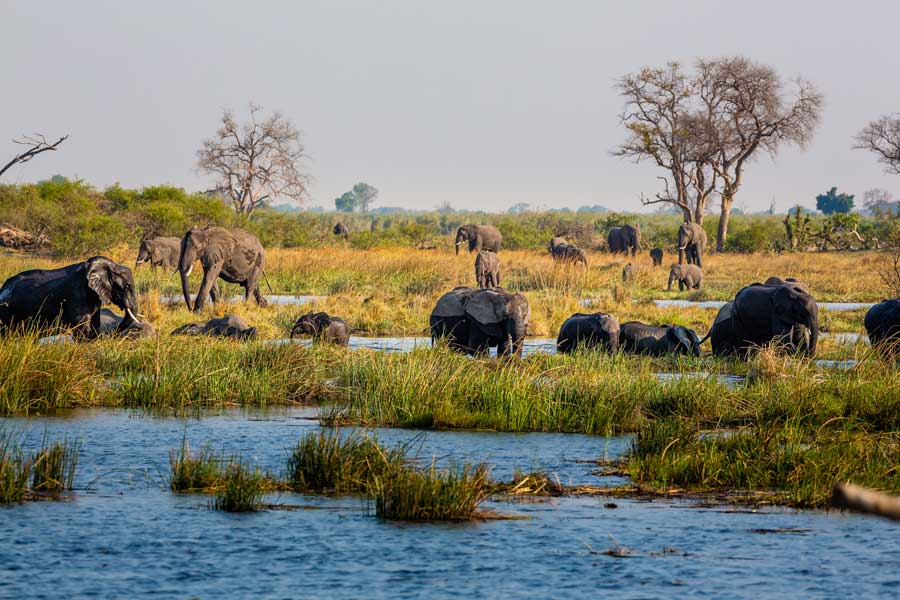 Caprivi-Strip