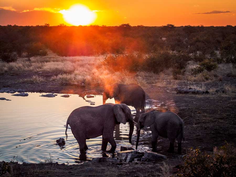 Etosha-Nationalpark