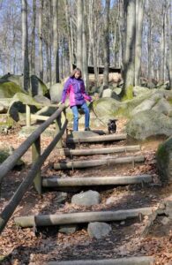 weg-neben-felsenmeer