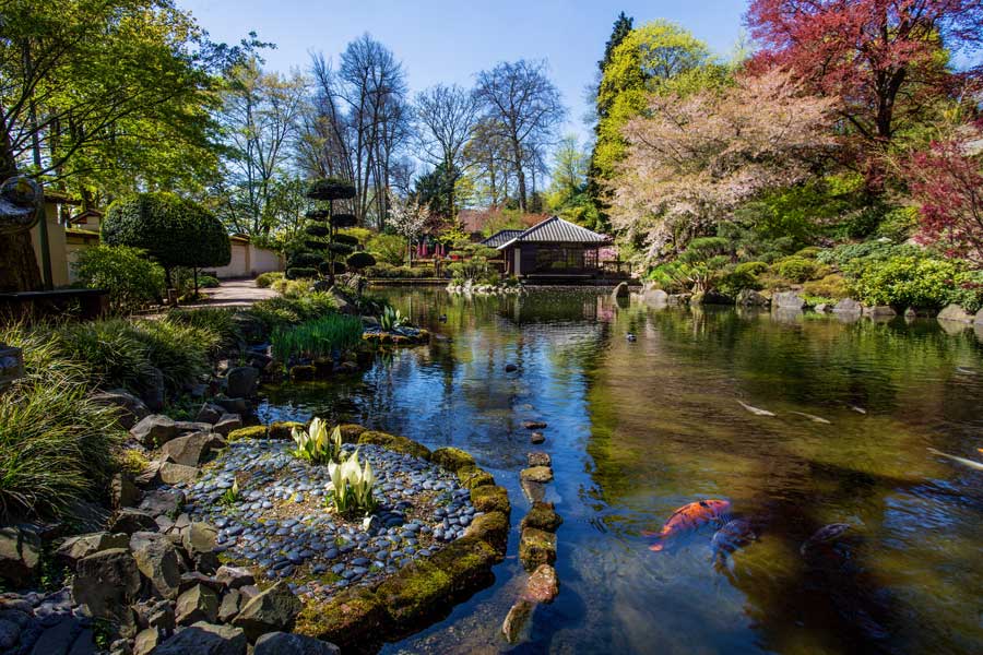 japanischer-garten-kaiserslautern