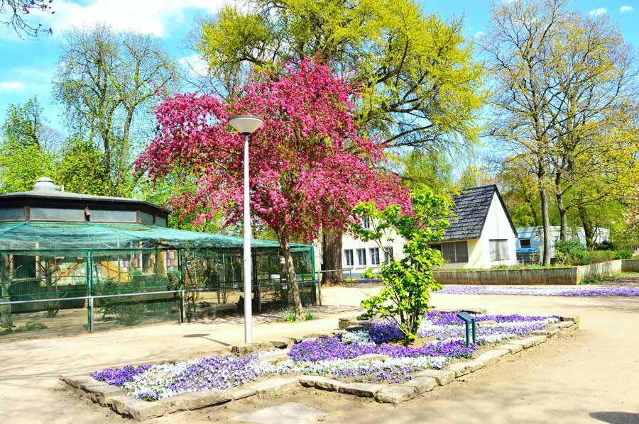 Mönchengladbach Bunter Garten