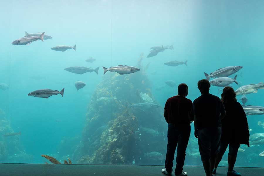 wilhelmshaven-aquarium