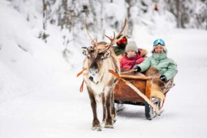 Rentiersafari in Lappland