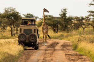 safari-ostafrika