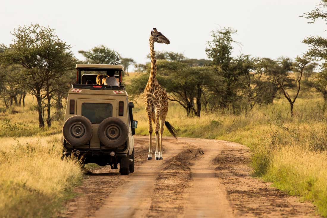 safari-ostafrika