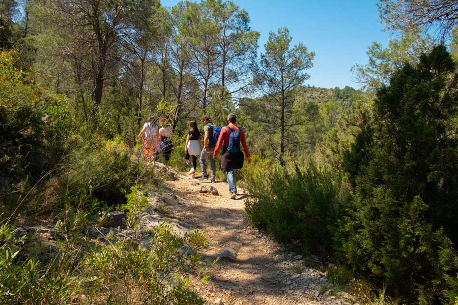 wandern-valencia