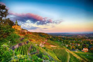 Radebeul Sachsen Weinhänge
