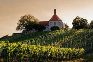 Vogelsburg--an-der-Volkacher-Mainschleife
