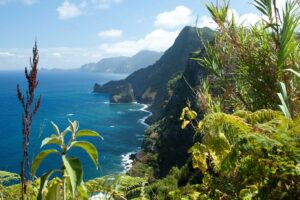 madeira