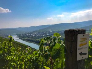 moselsteig