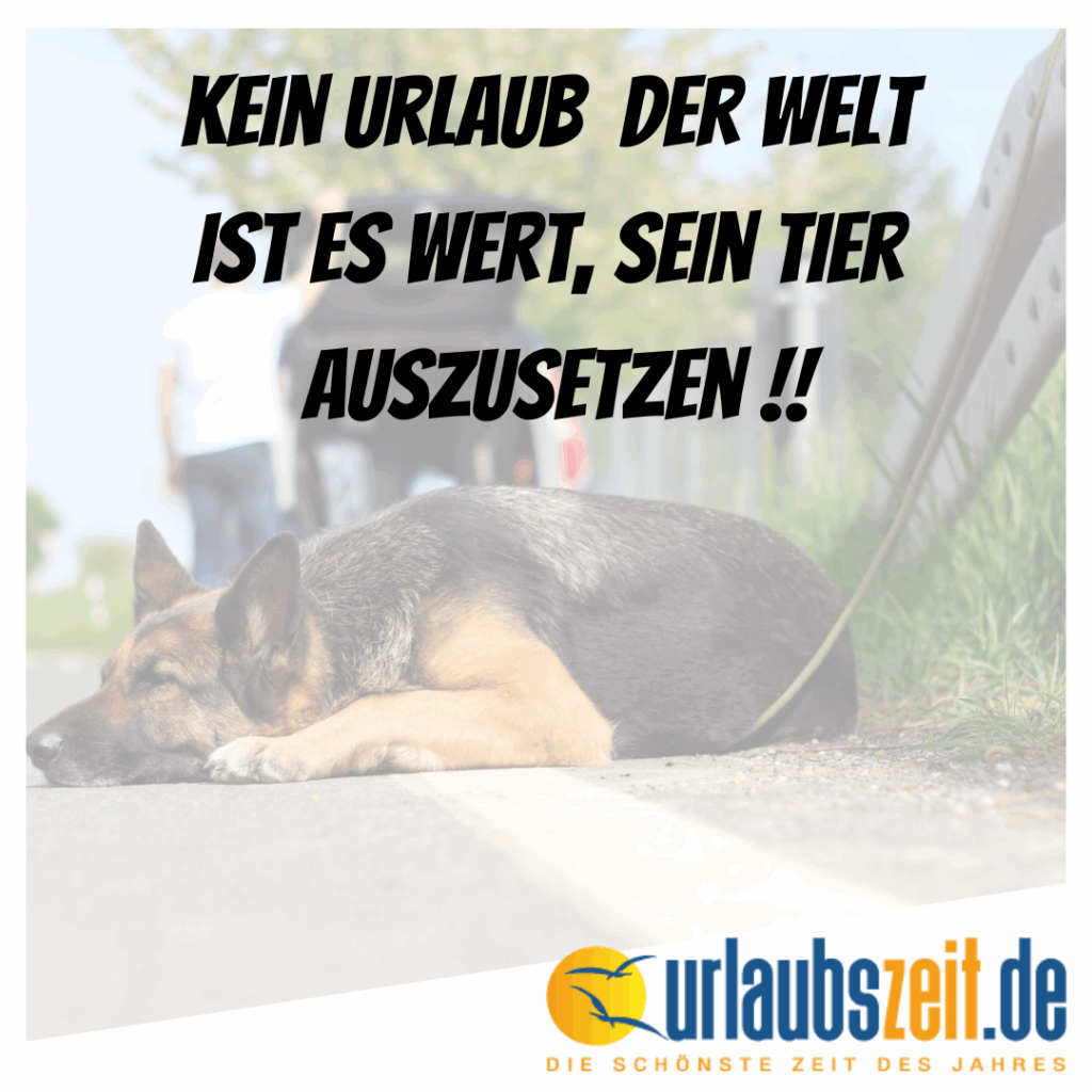 kein tier aussetzen