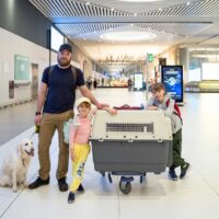 mit-hund-fliegen