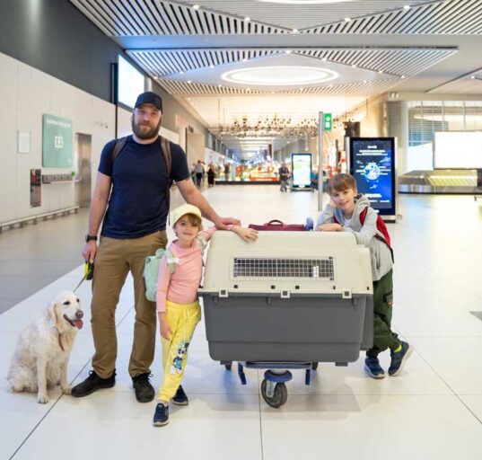 mit-hund-fliegen