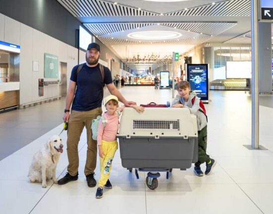 mit-hund-fliegen