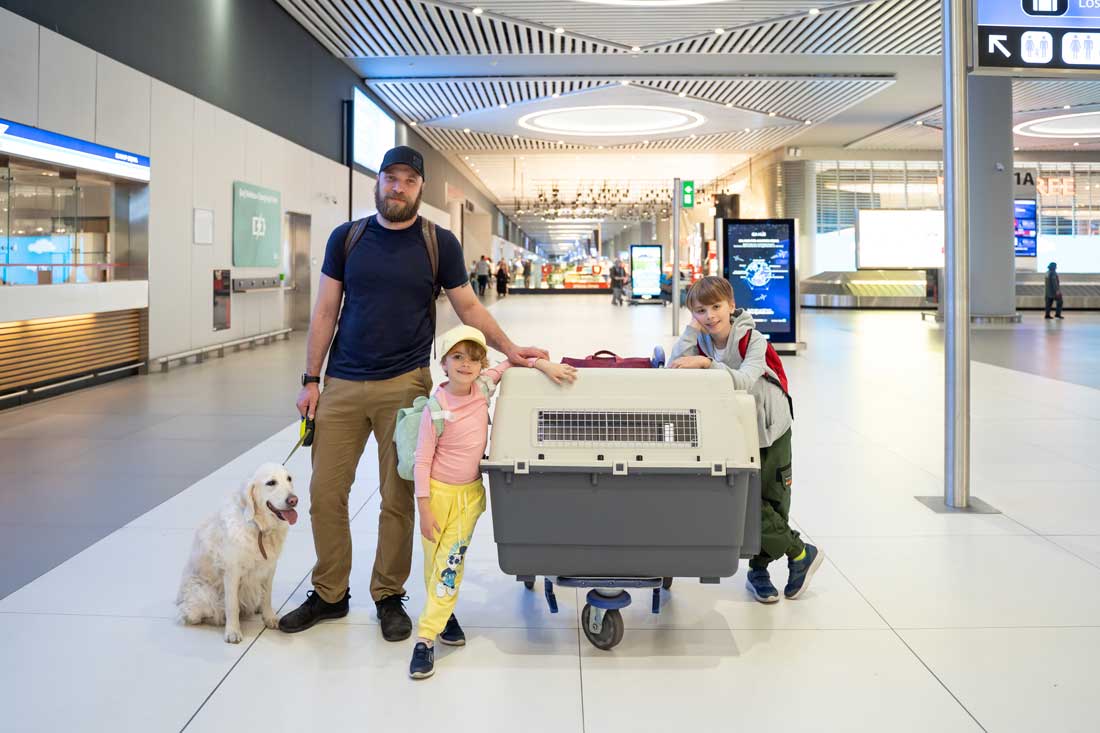 mit-hund-fliegen