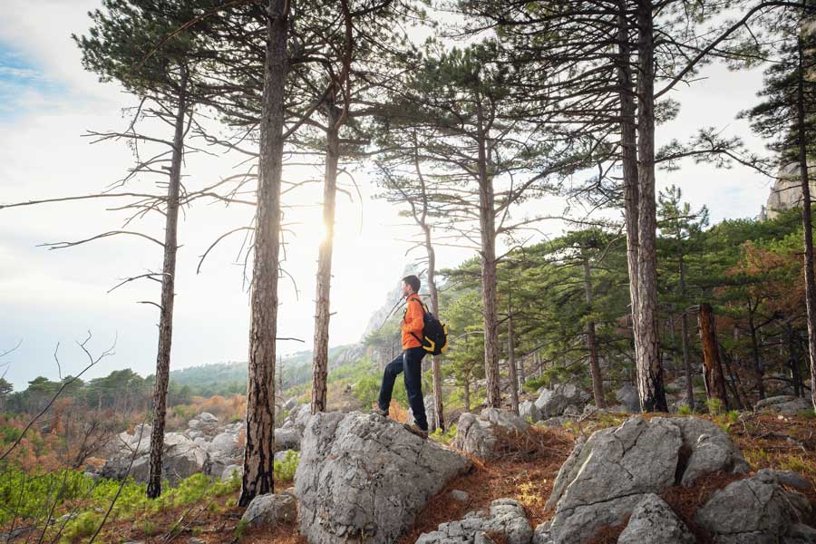 selbstfindung-durch-wandern