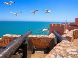 Historische Stadtmauer von Essaouira mit Blick auf den Atlantik und Möwen im Flug - Städtereise Essaouira