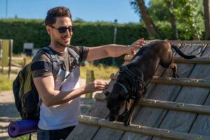 Agility-Parcours
