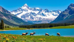 Kanada Naturerlebnisse im Nationalpark