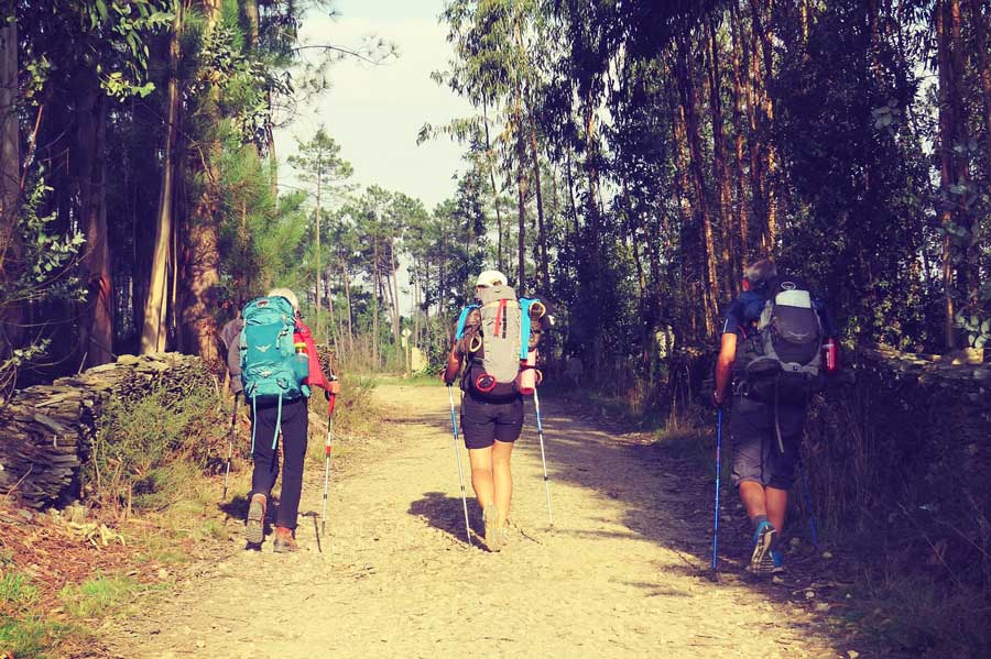 wandern-schweiz