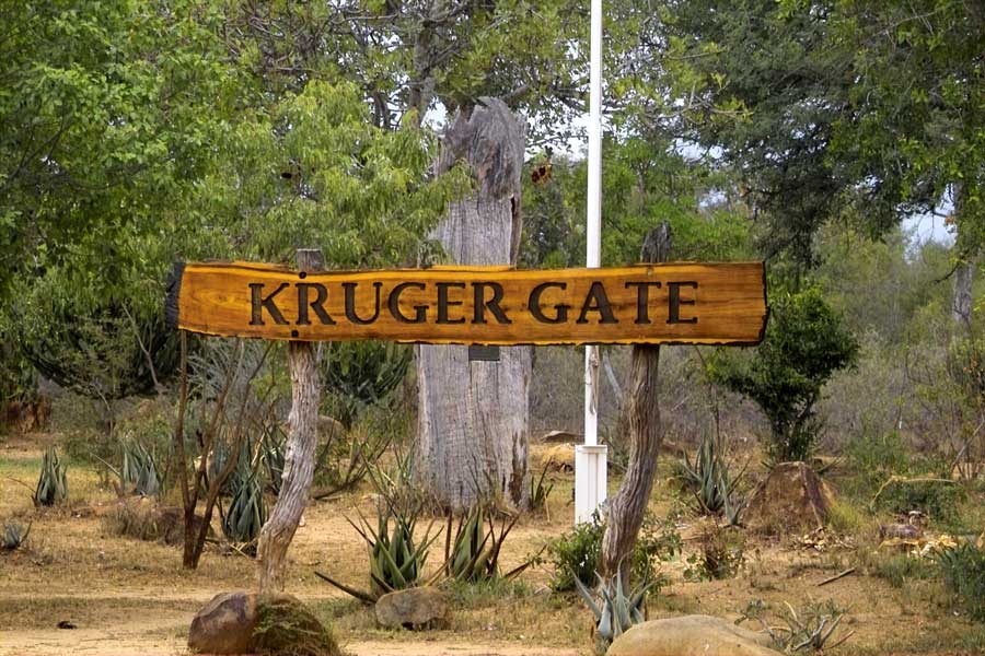 krueger-nationalpark-suedafrika