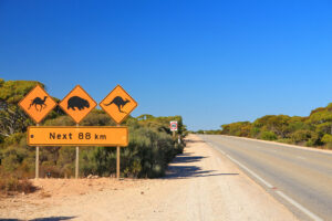australien-roadtrip