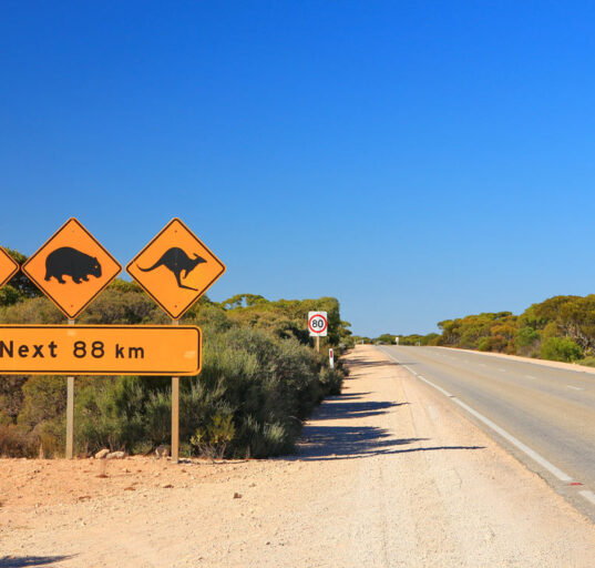 australien-roadtrip