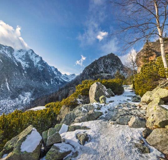 wandern-in-der-hohen-tatra