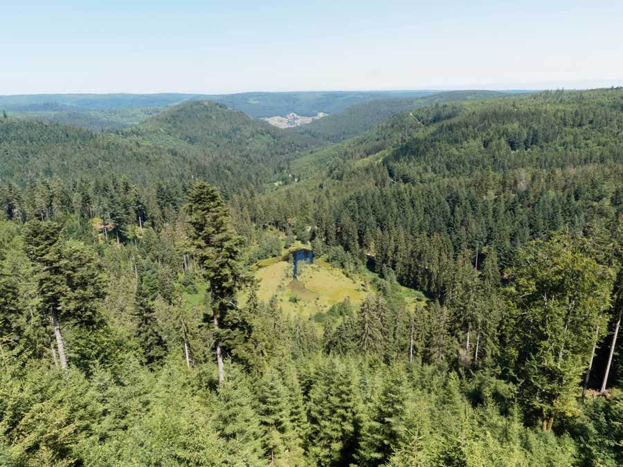 Ellbachsee. Aussichtsplattform Ellbachseeblick